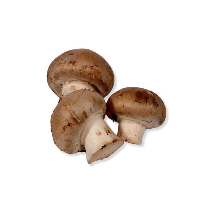 Champignons - braun