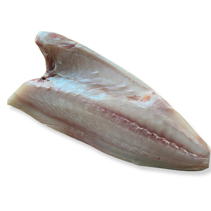 Spencer Gulf Kingfish | Filet mit Haut und Schlüsselbein| 1.2kg